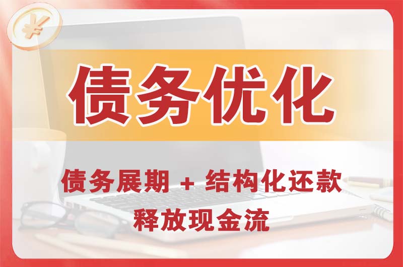 罗城债务优化